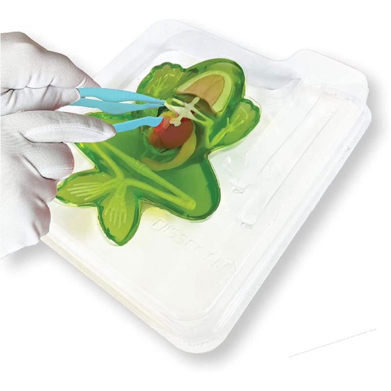 Table De Dissection et Grenouille - Silverlit