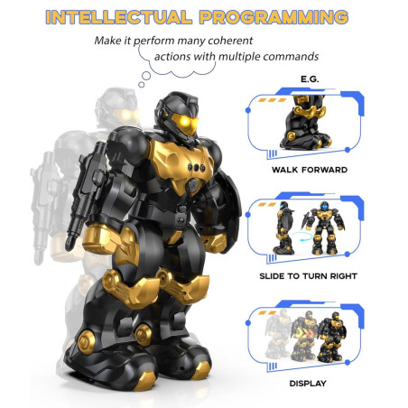 Robot Télécommandé Cady Wilo - Réf.80T