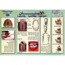 MASQUE N41