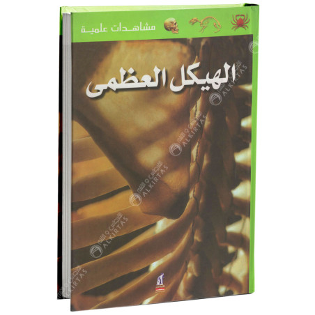 الهيكل العظمي - مشاهدات علمية
