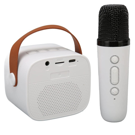 CESAR K1 Wireless Karaoke Speakers