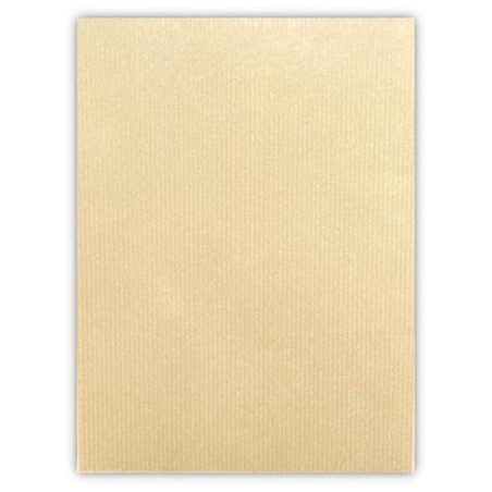 Pochette Blanc 250/350 Mm