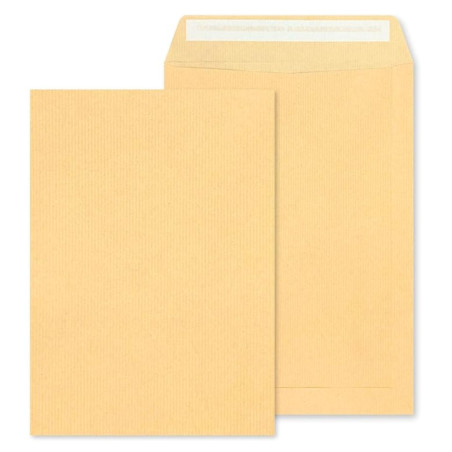 Pochette kraft 370/450 Mm