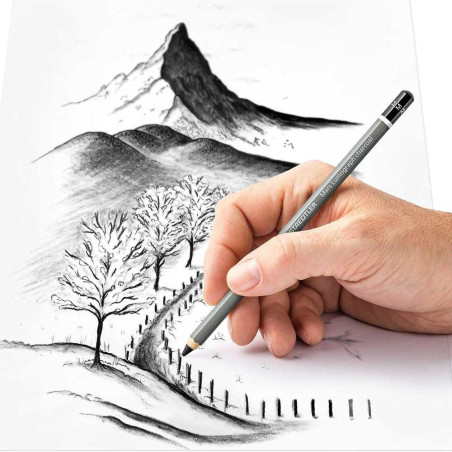 CRAYON FUSAIN STD P3