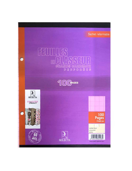 100 Feuilles Recharge Classeur Rose, 17x22 80gr - Selecta