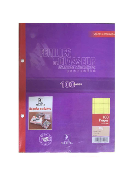 100 Feuilles Recharge Classeur Jaune, 17x22 64gr - Selecta