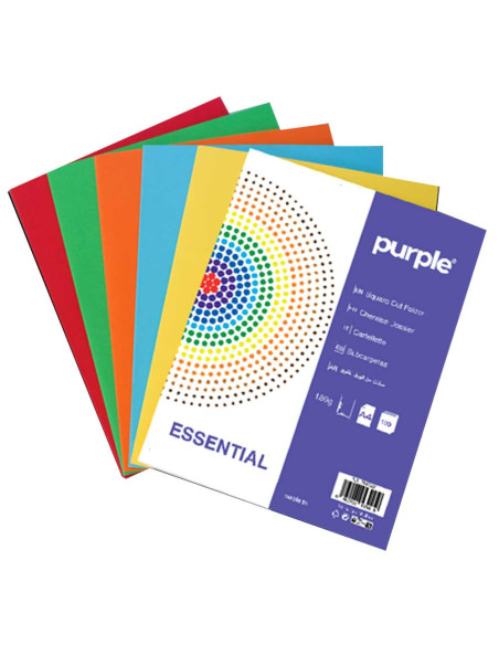 Paquet de 10 Chemises Cartonnées Couleurs Vives - Purple