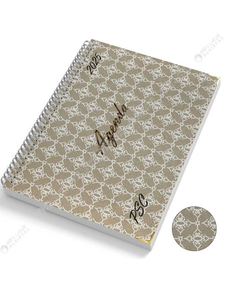 Agenda 2025 - PSC