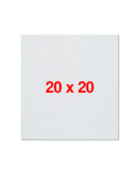 Chassis Toile 20x20cm - Robusta