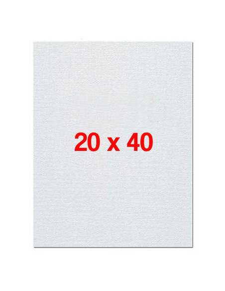 Chassis Toile 20x40cm - Robusta