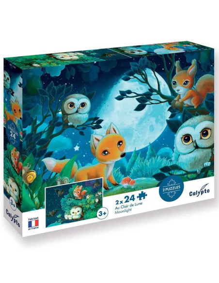 Puzzle 2x24 pcs, Au Clair de Lune - Calypto By Sentosphère