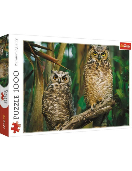 Puzzle 1000 pcs, Chouette - Trefl