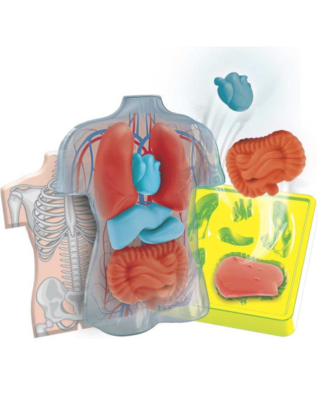 Kit Mini Labo d'anatomie Scientifique Science & Jeu - Clementoni