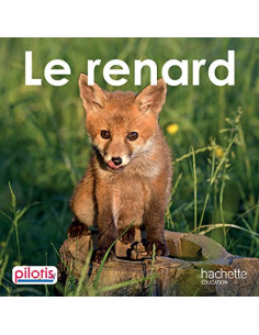 Le renard CP | ALKIRTAS