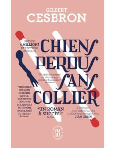Chiens perdus sans collier 5ème | ALKIRTAS