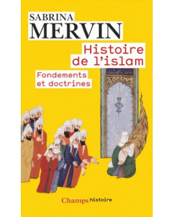 HISTOIRE DE L'ISLAM - MERVIN
