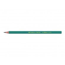 CRAYON NOIR BIC EVOLUTION VERT