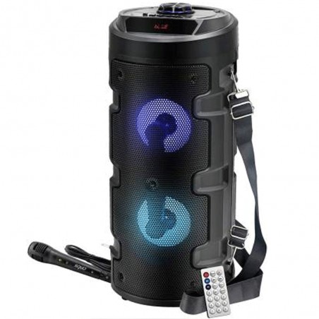 Haut-Parleur Bluetooth avec Micro Karaoke - Réf. ZQS-4209