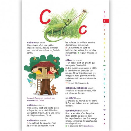 Le Robert Benjamin Mon Premier Dictionnaire