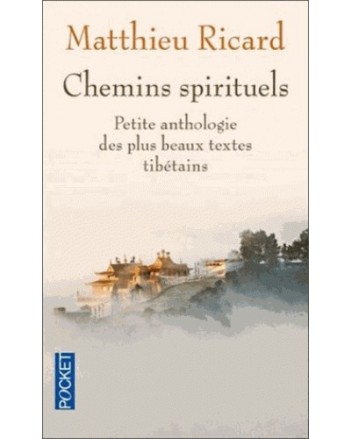 CHEMIN SPIRITUELS - RICARD
