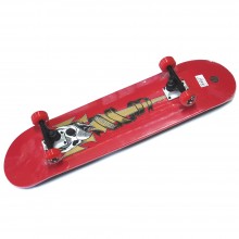 Skateboard Pro - Réf.806