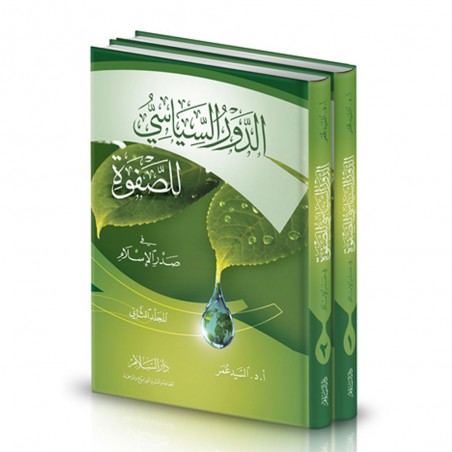 الدور السياسي للصفوة 1/2