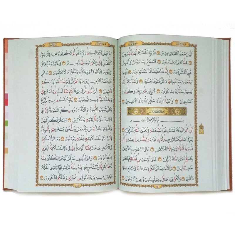 المصحف الميسر لترتيل القران الكريم برواية قالون عن نافع