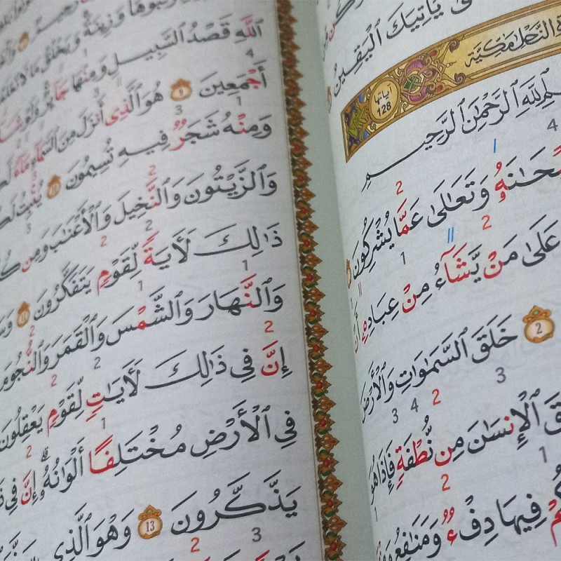 المصحف الميسر لترتيل القران الكريم برواية قالون عن نافع