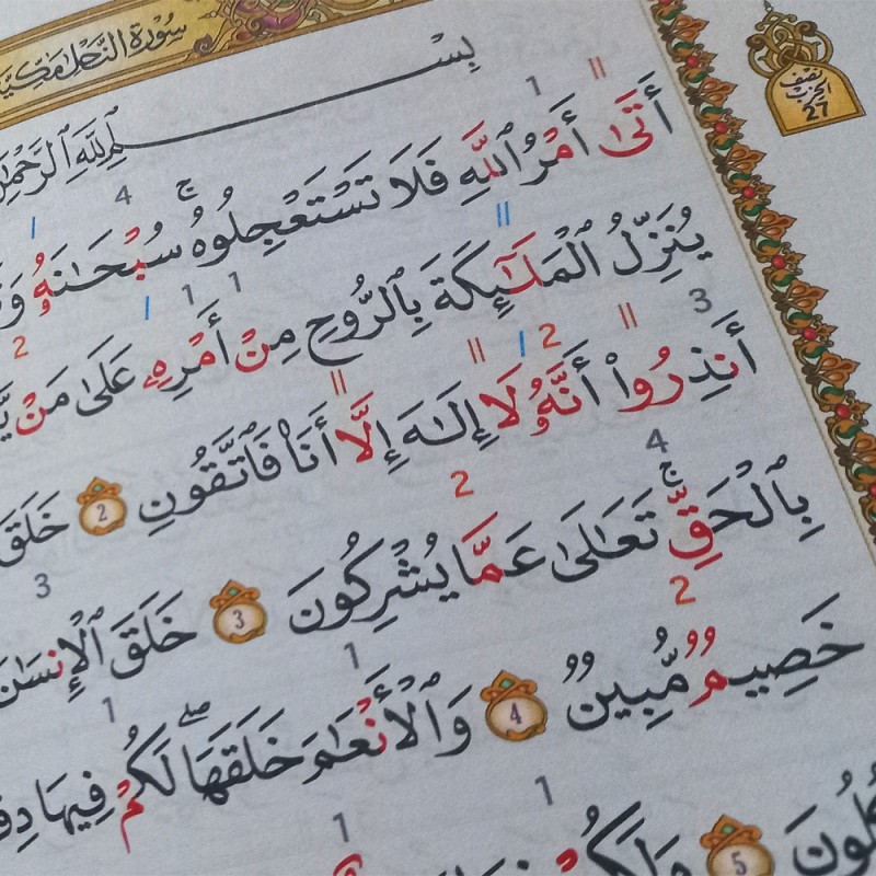 المصحف الميسر لترتيل القران الكريم برواية قالون عن نافع