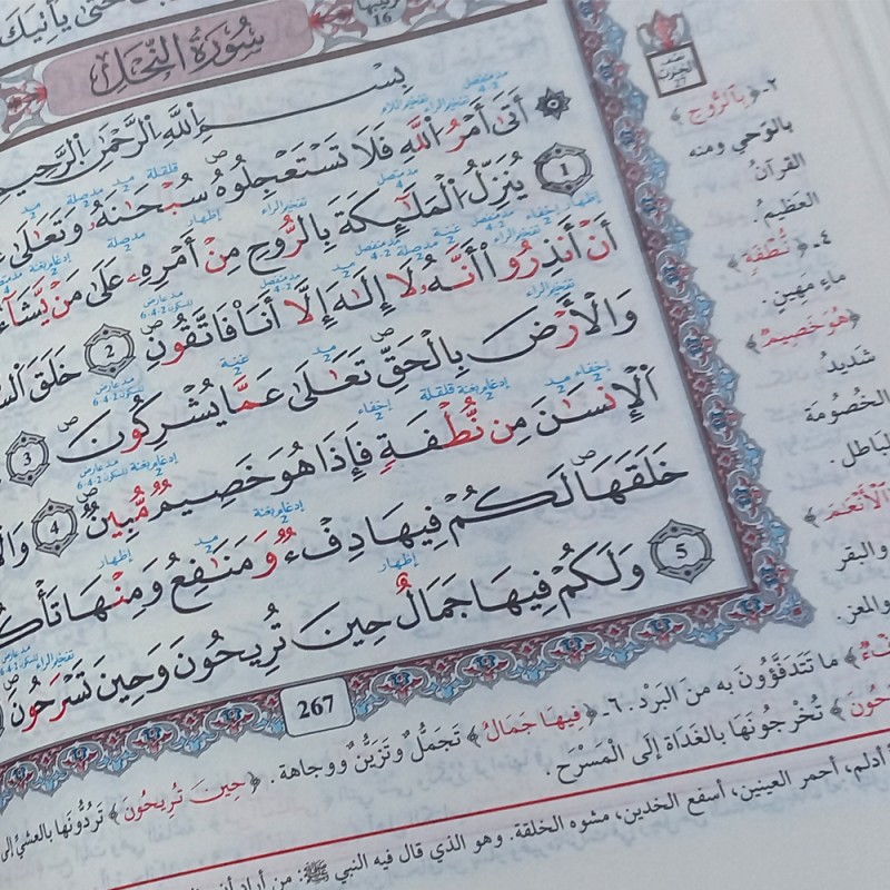 مصحف معلم الترتيل المفسر برواية قالون عن نافع لدار الفجر الاسلامي