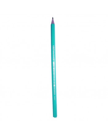 CRAYON NOIR BIC EVOLUTION NOIR