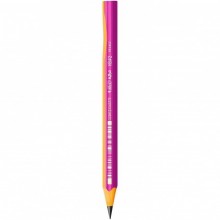 CRAYON NOIR BIC EVOLUTION ROSE