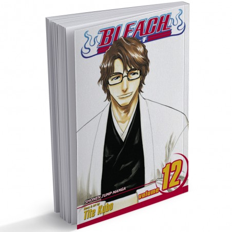 Bleach, Volume 12