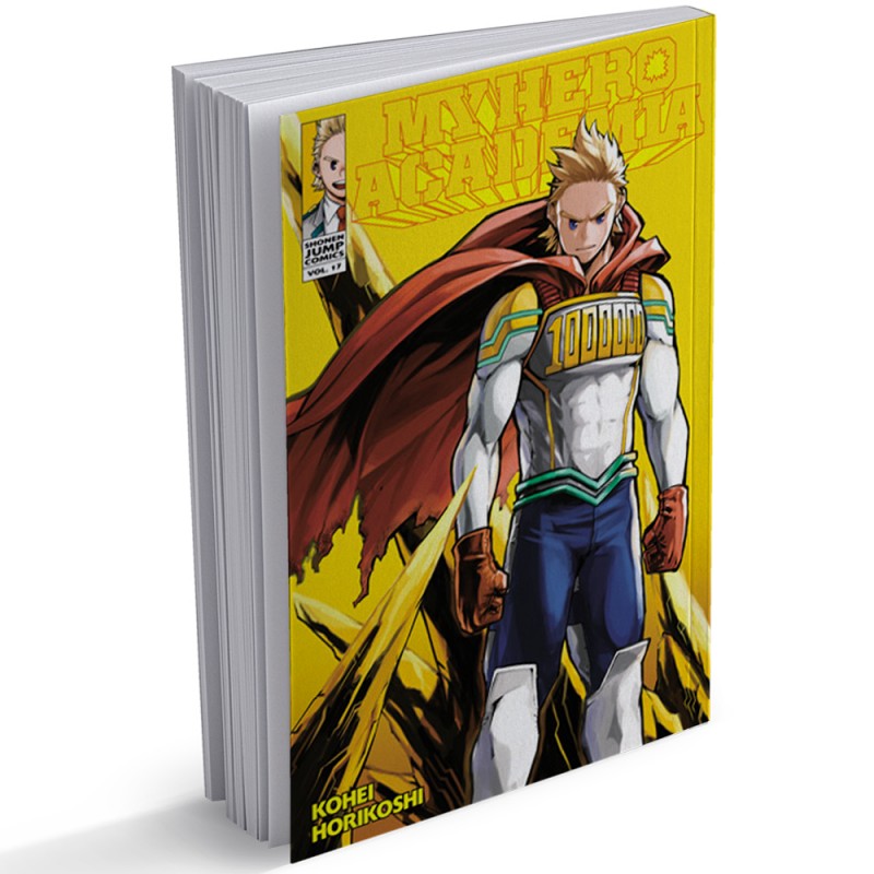 My Hero Academia, Volume 17 (Eng)