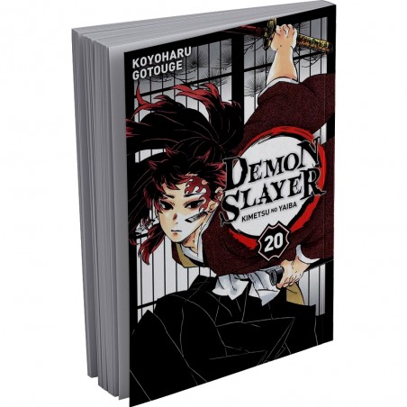 Demon Slayer, FR Tome 20