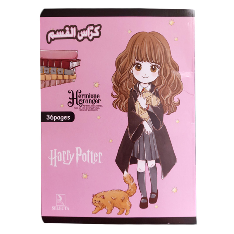 Cahier SELECTA Harry Potter 17/22 36P