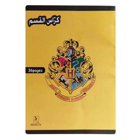 Cahier SELECTA Harry Potter 17/22 36P