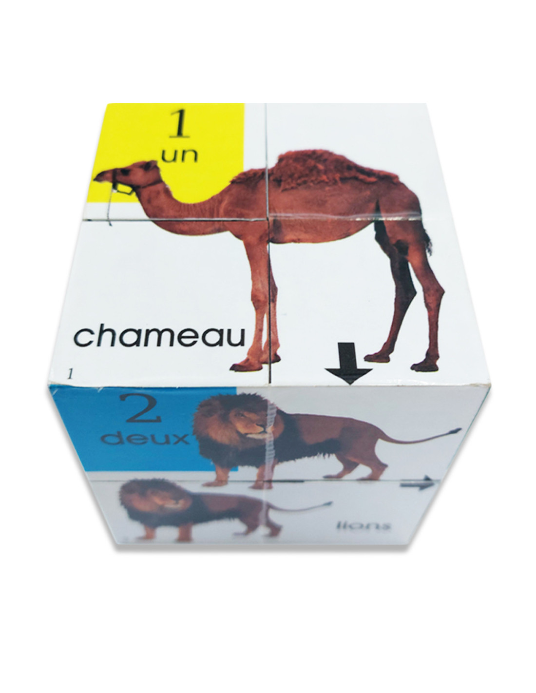 Cube Éducatif Animaux