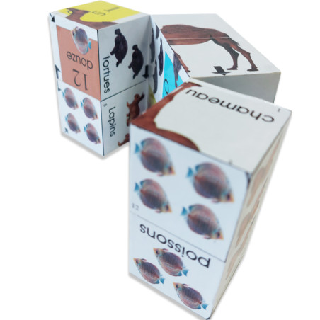 Cube Éducatif Animaux