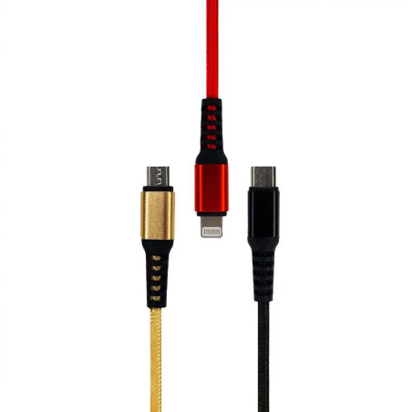 Cable Chargeur Denmen 5.4A D02E