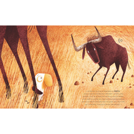 Livre Sonores Dans La Savane - SASSI