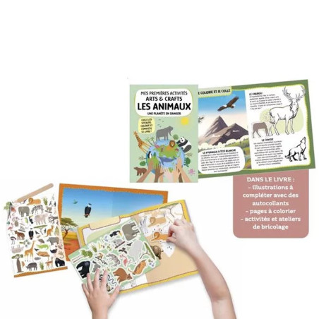 Coffret Les Animaux, Arts&Crafts - Sassi
