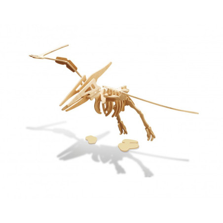 Dinosaure 3D à Assembler : Pteranodon - Buki