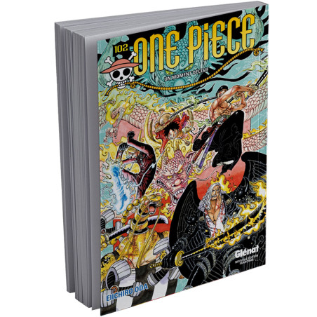 One Piece, FR Tome 102, Un moment décisif
