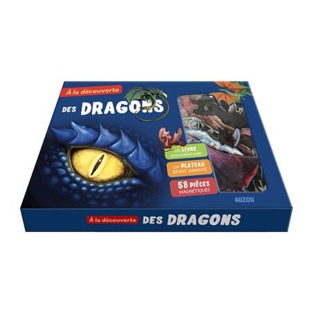 A La Découverte des Dragons - Auzou