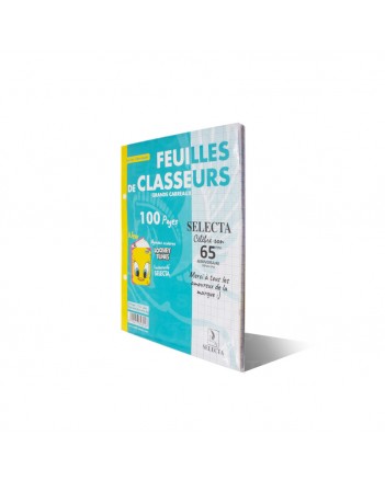 FEUILLES CLASSEUR 17X22 100P 60G SELECTA