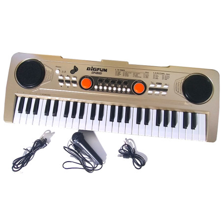 Piano - Electronic Keyboard - BIGFUN