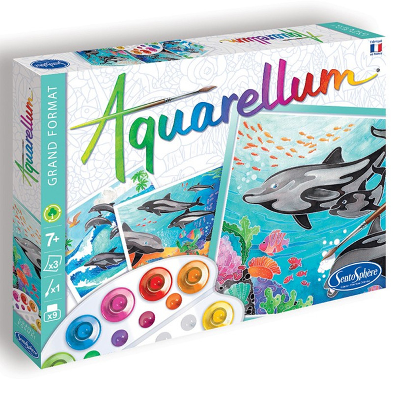 Aquarellum, Dauphins - SentoSphère