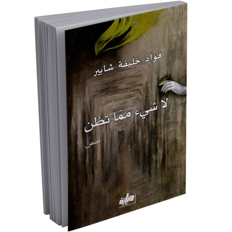 لا شيء مما تظن - فؤاد خليفة شابير