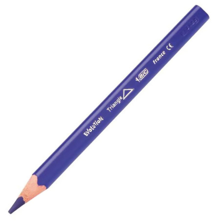 Set De 12 Crayons Triangulaire Evolution - Bic Kids